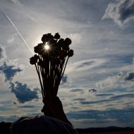Walter Goldschmied   Abendstimmung
